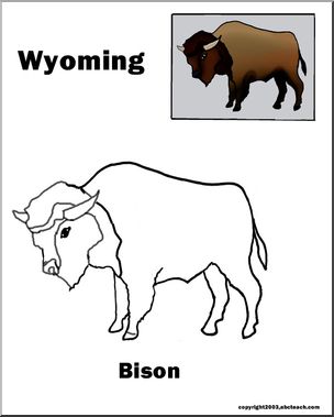 Wyoming: State Animal – Bison – Abcteach